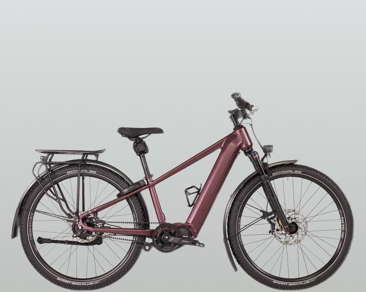 Хардтейл, привод Shimano, конфигуратор на сайте. Немецкий производитель Maxx выпустил модель Pacemaxx ELS Tour.